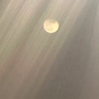 whyamihere90 (@whyamihere900) 's Twitter Profile