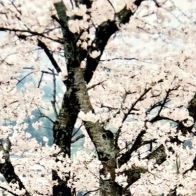 おばさん/日々思った事を時々呟きます/食べる事が大好きです/女風アカ/女風ユーザさんとも仲良くなりたい💕/無言フォロー失礼します🙇♀️