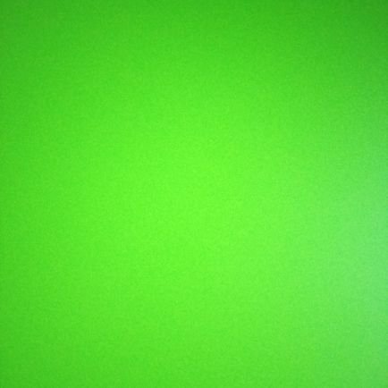 toribius_443's profile picture. 