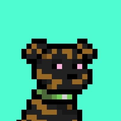 NFT & Web3 Marketing & community Building 🌏 collector & Advisor 💫 DM for promos & Business inquires & Campaigns📨📊 @doginaldogsx