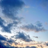 きびさとう (@quartzammonite) 's Twitter Profile