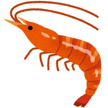 shrimp__mou's profile picture. 成人済み 20⤴︎