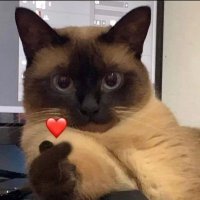 Sparrow 💚 (@trappedingarden) 's Twitter Profile Photo Sparrow 💚 (@trappedingarden) 's Twitter Profile Photo