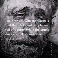 Newt (@newton577462) 's Twitter Profile