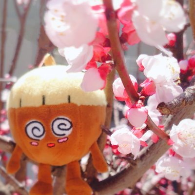 梨華さんのプロフィール画像