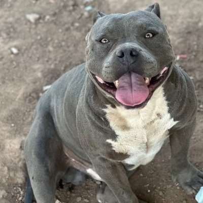 CarlosC095740's profile picture. 🇲🇽