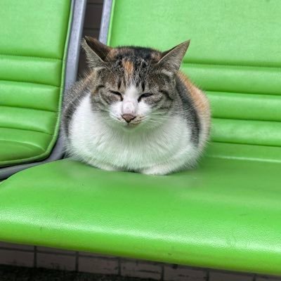 Carbonzero2050's profile picture. 物有萬形 人有百態 魅為所想 此乃眾生相