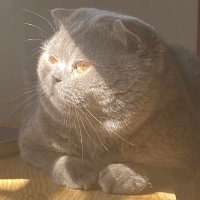 TEU (@0x_teu) 's Twitter Profile Photo TEU (@0x_teu) 's Twitter Profile Photo