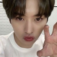 Angie ⊹ ࣪🐇 | minsung aus (@_leeknowsaurio) 's Twitter Profile