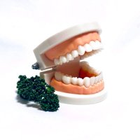 こ.Oyama (@oyamako_) 's Twitter Profile Photo