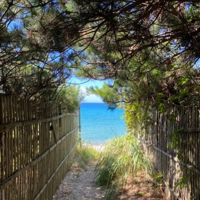 toa_p_game's profile picture. #VALORANT 女です 一応社会人です。仕事以外はだいたい暇なのでぜひ一緒に遊んでください🫧