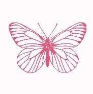 lislis_doranime's profile picture. 