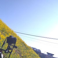 青22号 (@levorg_z6) Twitter profile photo