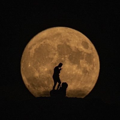 Osman74627728's profile picture. ......