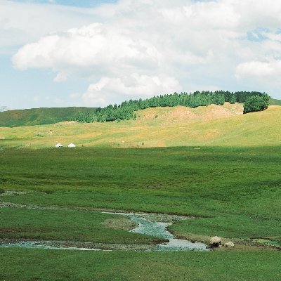 capy_v's profile picture. 