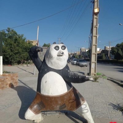 nminsay's profile picture. was once the 4th best voli NA rip 2020 fly