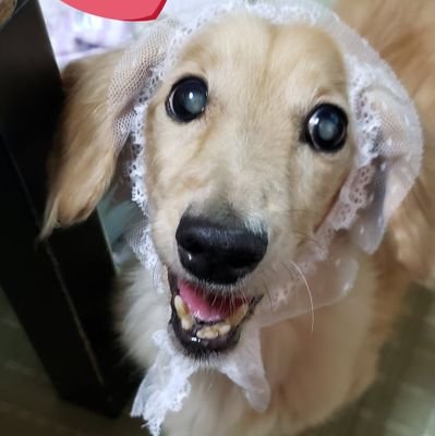 1111Karin's profile picture. 