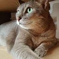 vibgyor35 (@vibgyor31) 's Twitter Profile Photo vibgyor35 (@vibgyor31) 's Twitter Profile Photo