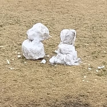 trueselfawo's profile picture. 