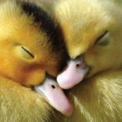 services86047's profile picture. 