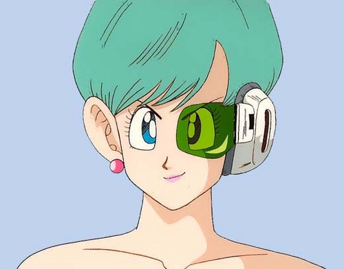 ベジータの妻です