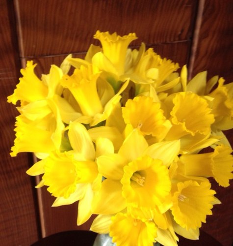 mgmg's profile picture. 