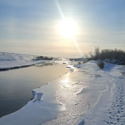 SamuelJ01278809's profile picture. 