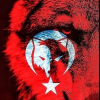 Kurtsürüsü1071 (@nedim_oren) 's Twitter Profile