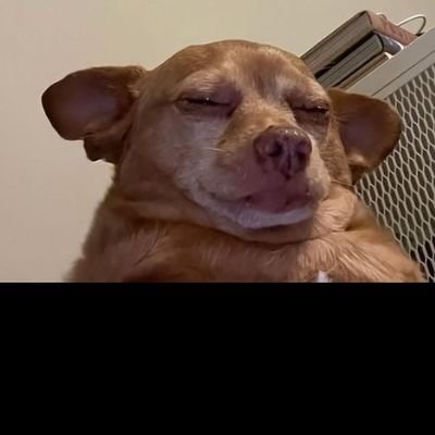 unknownmeeeeee1's profile picture. Sharing the sweetest awkward moments from around the world🌍😂