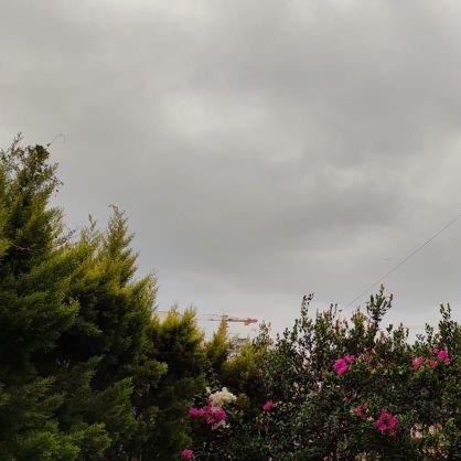 bugsblac's profile picture. Spread awareness through social media!✨