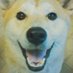 rinnko QAJF (@rinnko331776131) Twitter profile photo rinnko QAJF (@rinnko331776131) Twitter profile photo