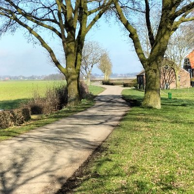 CWillempje's profile picture. 