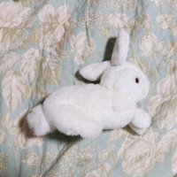 moët(ᐡ⸝⸝ᴗ ̫ ᴗ⸝⸝ᐡ)𝜗ৎ (@moet_fleur) 's Twitter Profile