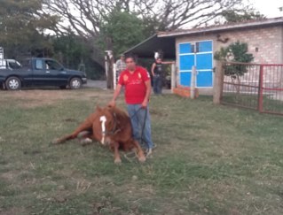 CejaIgnacio's profile picture. 