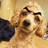 삼구SAMGU (@39samgu) 's Twitter Profile Photo