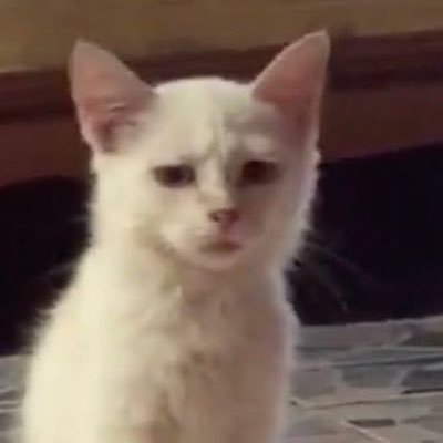 ryutaeshifthype's profile picture. 