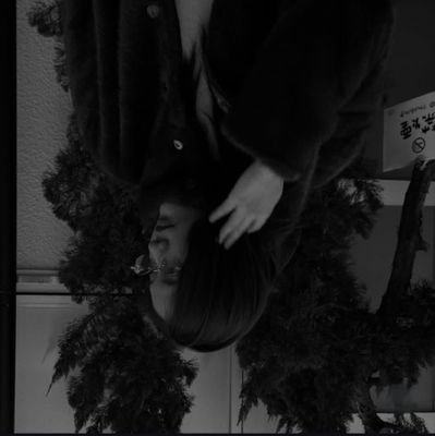 stef_xtx's profile picture. tt acc: 𝑵𝒐𝒐𝒏'𝒔 𝒆𝒅𝒊𝒕𝒐𝒓 
#noonntyp #srchafreen