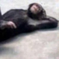 Leglew (@leg_oolas) 's Twitter Profile