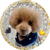aco (@rk_ea_kh) 's Twitter Profile
