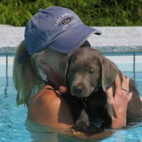 yolanda schultes (@yolandaschultes) 's Twitter Profile