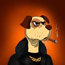 AlonAdi51's profile picture. 