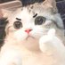 小猫 (@8lxuuskynn13272) Twitter profile photo 小猫 (@8lxuuskynn13272) Twitter profile photo