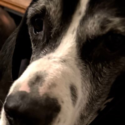 emotionintercom's profile picture. My name is Nick and I love astrology, astrocartography, channelling and remote viewing