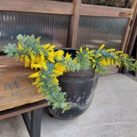 もいもい (@esion19) 's Twitter Profile Photo