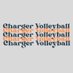 NMHS Volleyball (@nmchargervball) Twitter profile photo NMHS Volleyball (@nmchargervball) Twitter profile photo
