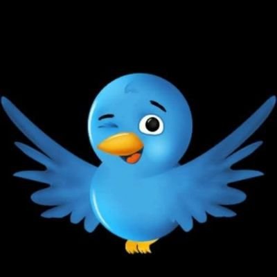 sarimhabib007's profile picture. Independent Journalist | Traveller | Vlogger |