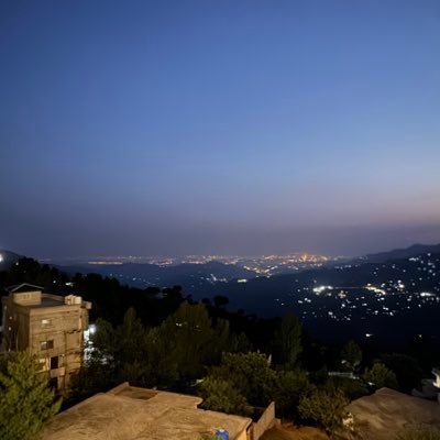 loccxx's profile picture. Critical Care Physician.