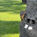 ai🐶✈️ (@mame__fd) Twitter profile photo ai🐶✈️ (@mame__fd) Twitter profile photo