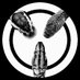 Olympian Snakes (@olympian_snakes) Twitter profile photo Olympian Snakes (@olympian_snakes) Twitter profile photo