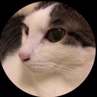 シロ。 (@shiromaru336) 's Twitter Profile Photo シロ。 (@shiromaru336) 's Twitter Profile Photo